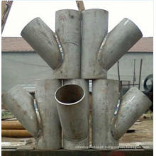 Fêmea de aço carbono SAE de encaixes de mangueira hidráulica